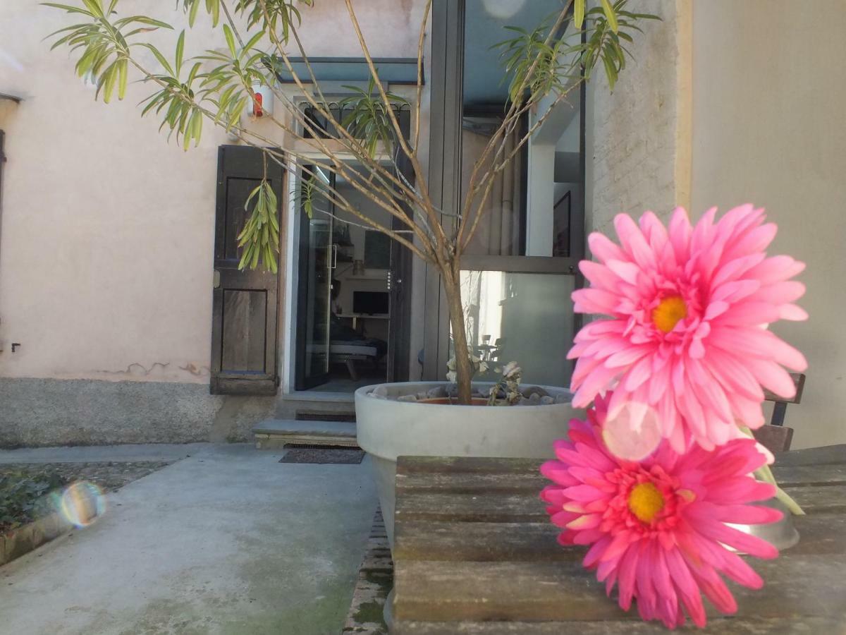 Loft Garden In Bologna'S Heart Ospedale Rizzoli Apartment Bagian luar foto